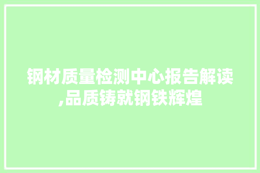 钢材质量检测中心报告解读,品质铸就钢铁辉煌