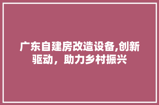 广东自建房改造设备,创新驱动，助力乡村振兴