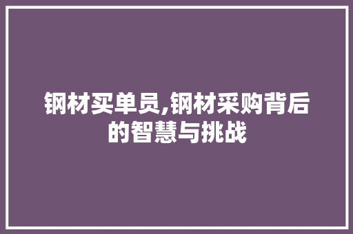 钢材买单员,钢材采购背后的智慧与挑战