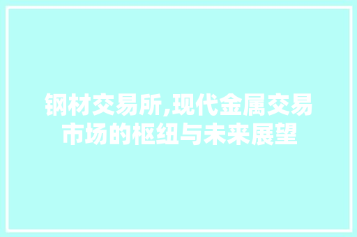 钢材交易所,现代金属交易市场的枢纽与未来展望