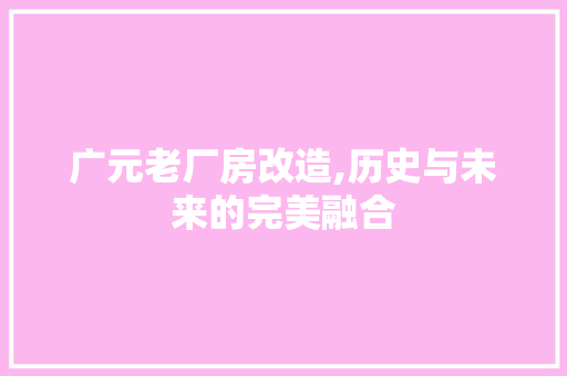 广元老厂房改造,历史与未来的完美融合