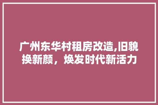 广州东华村租房改造,旧貌换新颜，焕发时代新活力