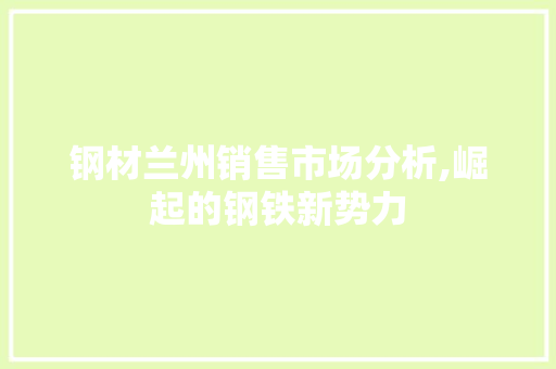 钢材兰州销售市场分析,崛起的钢铁新势力