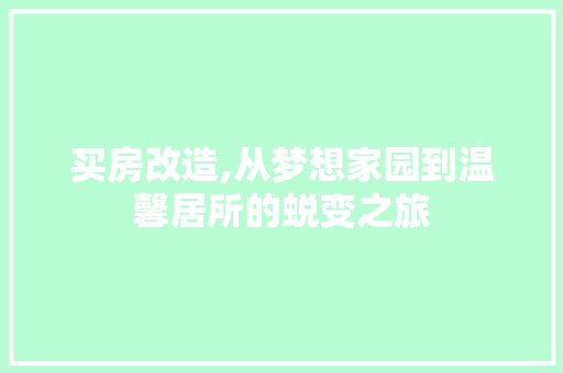 买房改造,从梦想家园到温馨居所的蜕变之旅