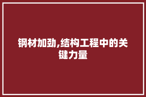 钢材加劲,结构工程中的关键力量