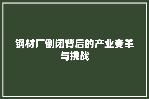 钢材厂倒闭背后的产业变革与挑战