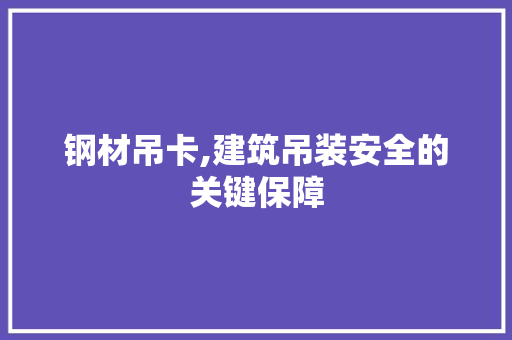 钢材吊卡,建筑吊装安全的关键保障
