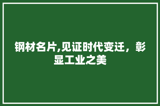 钢材名片,见证时代变迁，彰显工业之美