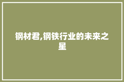 钢材君,钢铁行业的未来之星