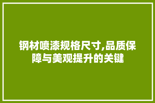 钢材喷漆规格尺寸,品质保障与美观提升的关键