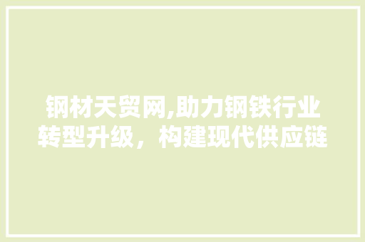 钢材天贸网,助力钢铁行业转型升级，构建现代供应链体系