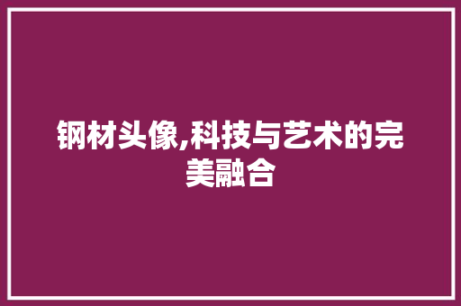 钢材头像,科技与艺术的完美融合