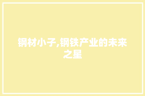 钢材小子,钢铁产业的未来之星