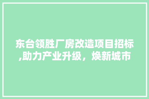 东台领胜厂房改造项目招标,助力产业升级，焕新城市面貌 庭院装修