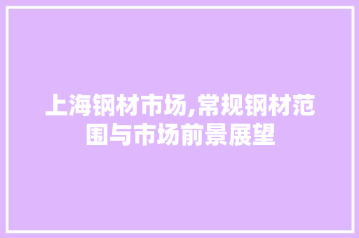 上海钢材市场,常规钢材范围与市场前景展望