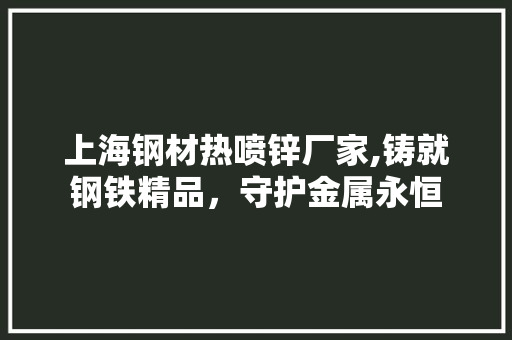 上海钢材热喷锌厂家,铸就钢铁精品，守护金属永恒