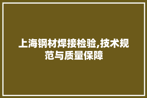 上海钢材焊接检验,技术规范与质量保障