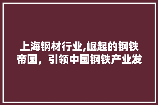上海钢材行业,崛起的钢铁帝国，引领中国钢铁产业发展