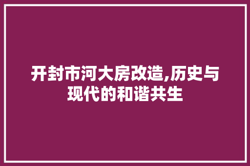 开封市河大房改造,历史与现代的和谐共生 隔断设计