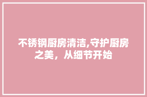 不锈钢厨房清洁,守护厨房之美，从细节开始