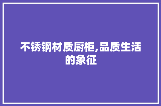 不锈钢材质厨柜,品质生活的象征