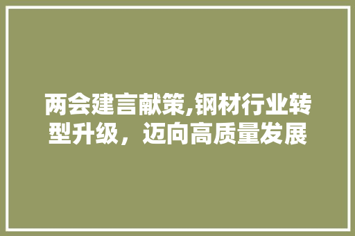 两会建言献策,钢材行业转型升级，迈向高质量发展