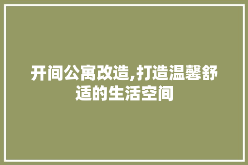 开间公寓改造,打造温馨舒适的生活空间 墙面装饰