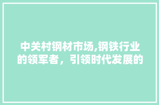 中关村钢材市场,钢铁行业的领军者，引领时代发展的钢铁脊梁