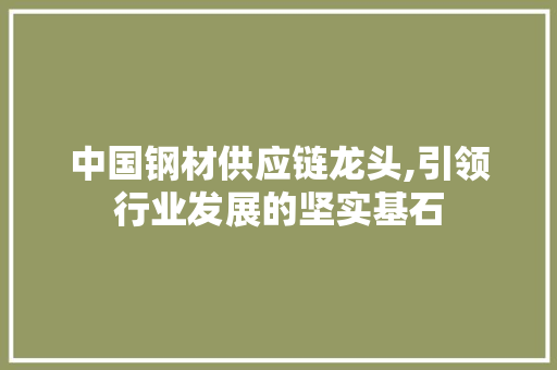 中国钢材供应链龙头,引领行业发展的坚实基石