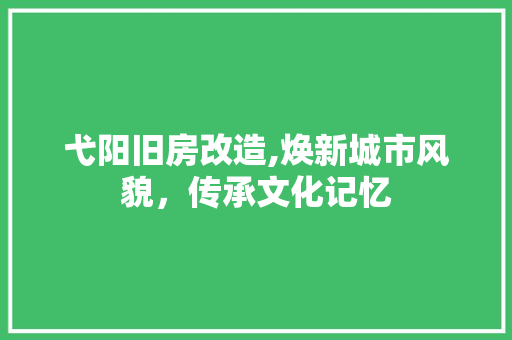 弋阳旧房改造,焕新城市风貌，传承文化记忆