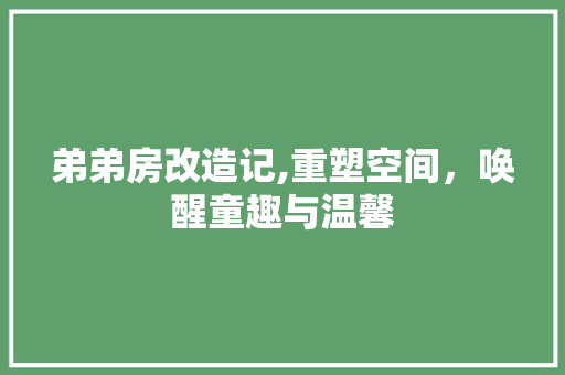 弟弟房改造记,重塑空间，唤醒童趣与温馨