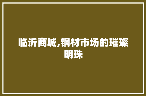 临沂商城,钢材市场的璀璨明珠