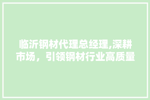 临沂钢材代理总经理,深耕市场，引领钢材行业高质量发展
