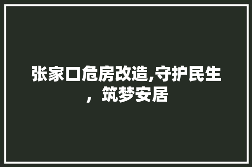 张家口危房改造,守护民生，筑梦安居 装修材料