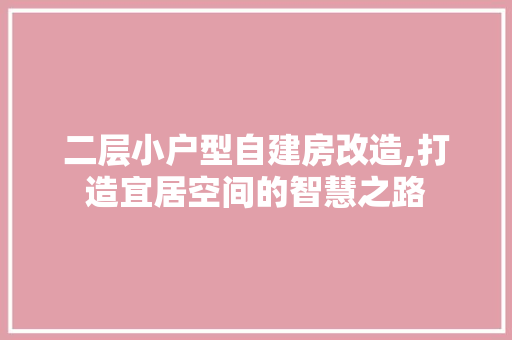 二层小户型自建房改造,打造宜居空间的智慧之路