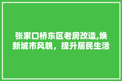 张家口桥东区老房改造,焕新城市风貌，提升居民生活品质