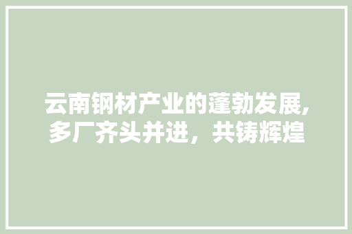 云南钢材产业的蓬勃发展,多厂齐头并进，共铸辉煌 庭院装修
