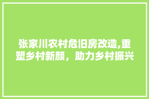 张家川农村危旧房改造,重塑乡村新颜，助力乡村振兴