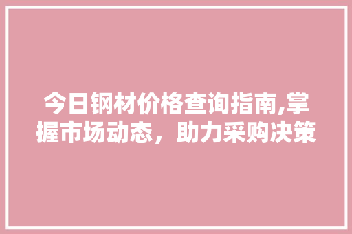 今日钢材价格查询指南,掌握市场动态，助力采购决策