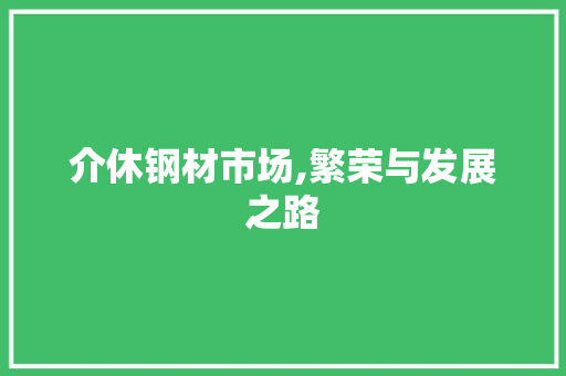 介休钢材市场,繁荣与发展之路