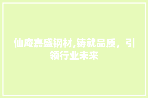 仙庵嘉盛钢材,铸就品质，引领行业未来