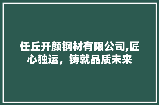 任丘开颜钢材有限公司,匠心独运，铸就品质未来