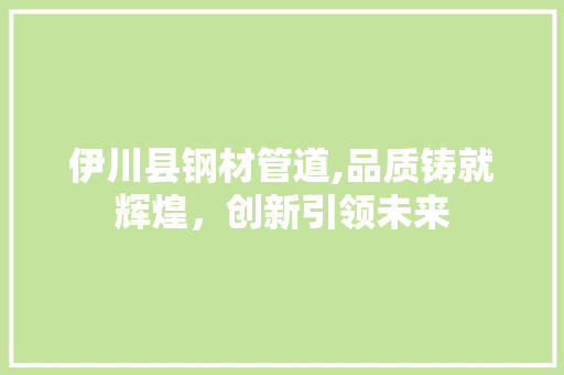 伊川县钢材管道,品质铸就辉煌，创新引领未来