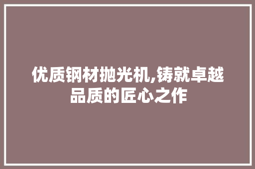 优质钢材抛光机,铸就卓越品质的匠心之作
