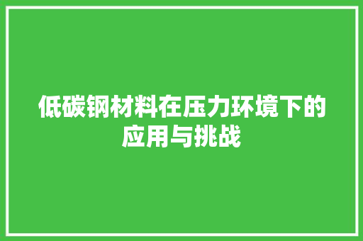 低碳钢材料在压力环境下的应用与挑战