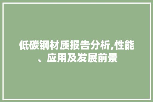 低碳钢材质报告分析,性能、应用及发展前景