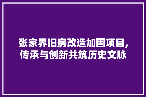 张家界旧房改造加固项目,传承与创新共筑历史文脉