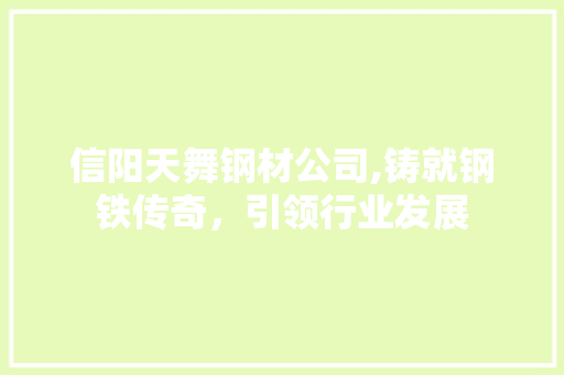 信阳天舞钢材公司,铸就钢铁传奇，引领行业发展