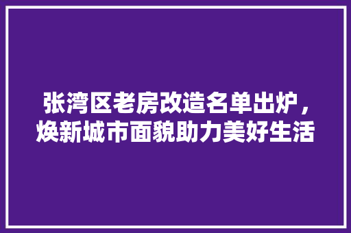 张湾区老房改造名单出炉，焕新城市面貌助力美好生活 装修攻略