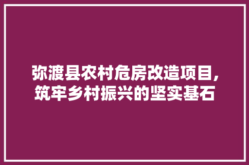 弥渡县农村危房改造项目,筑牢乡村振兴的坚实基石